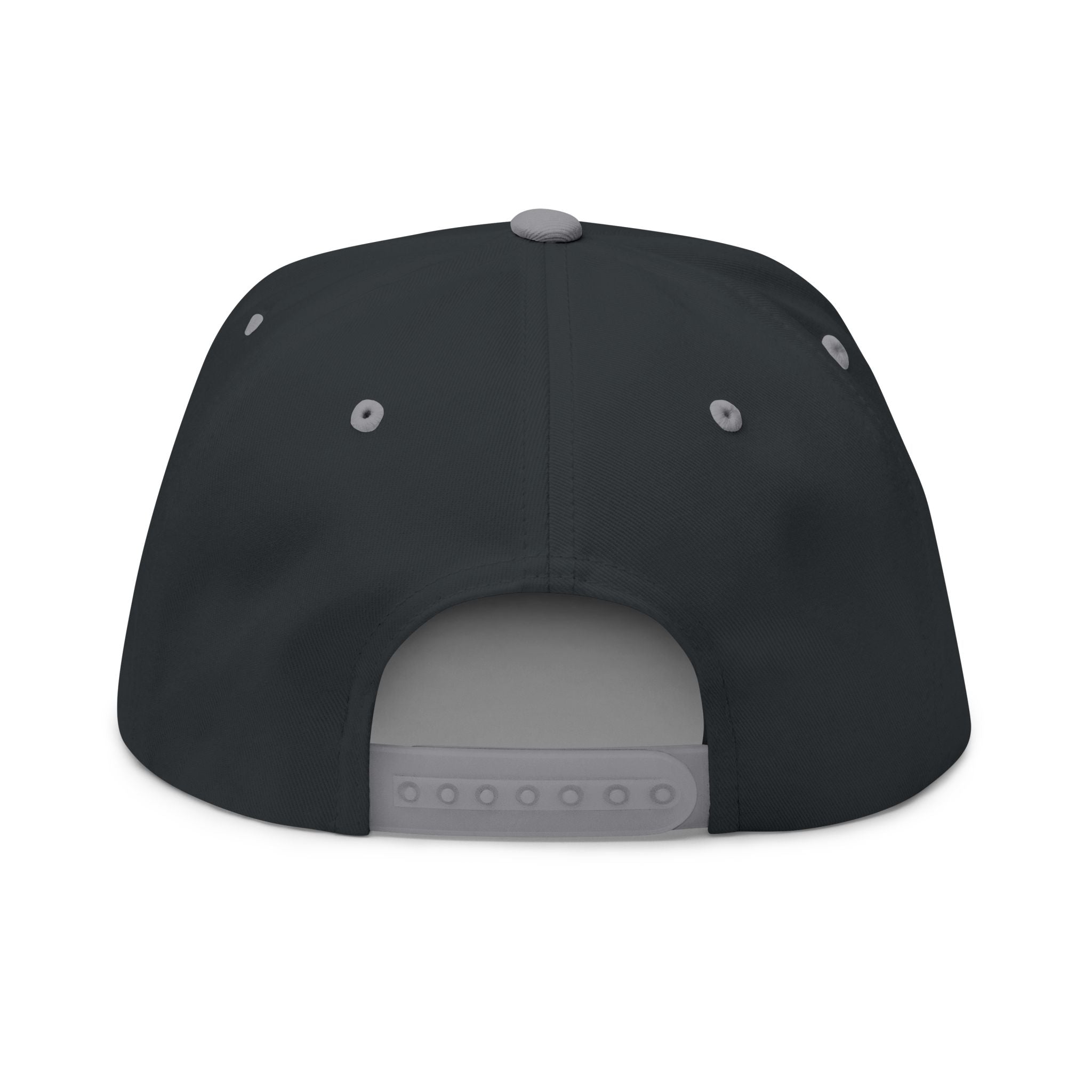 Series 1 - Flat Bill Cap