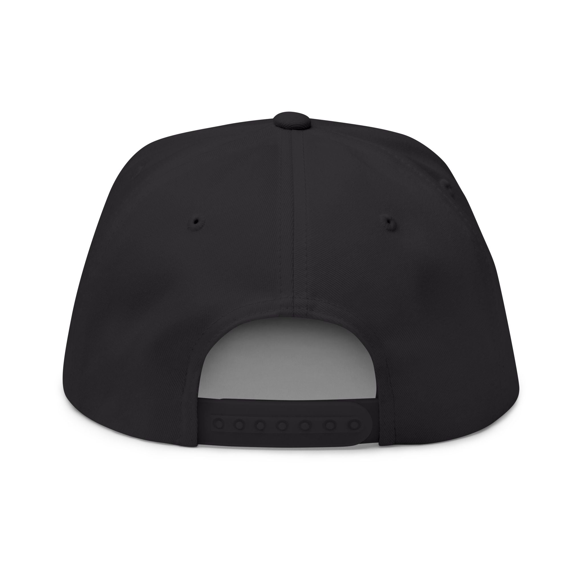 Series 1 - Flat Bill Cap
